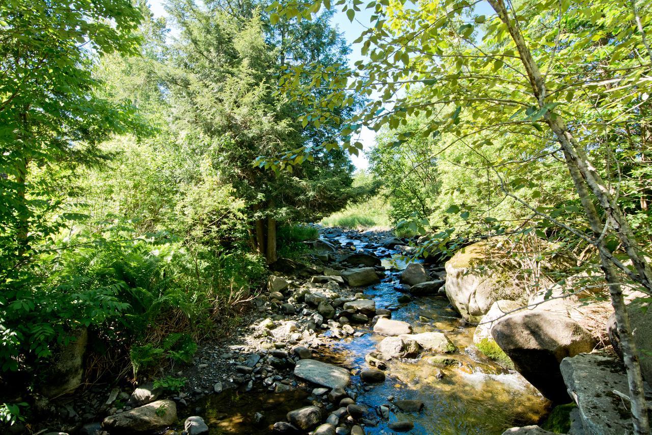 Camping Chalets Spas Pignons Rouges Saint Romain ภายนอก รูปภาพ