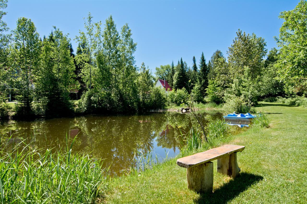 Camping Chalets Spas Pignons Rouges Saint Romain ภายนอก รูปภาพ