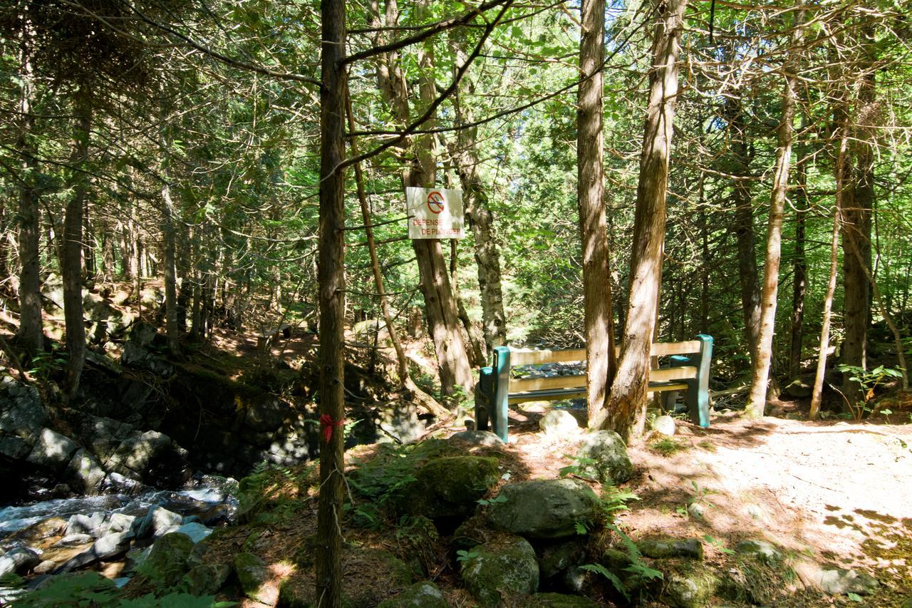 Camping Chalets Spas Pignons Rouges Saint Romain ภายนอก รูปภาพ